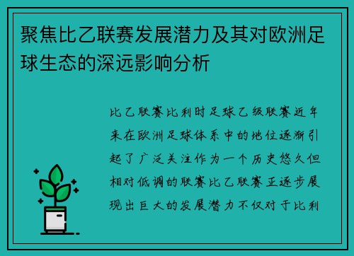 聚焦比乙联赛发展潜力及其对欧洲足球生态的深远影响分析