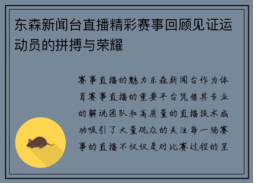 东森新闻台直播精彩赛事回顾见证运动员的拼搏与荣耀